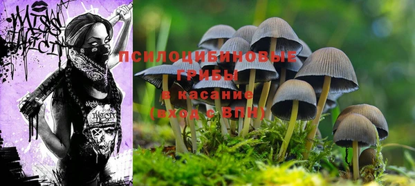 прущие крисы Осташков