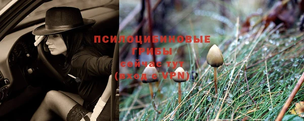 mdpv Арсеньев